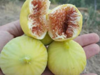 Diğer Ürünlerimiz